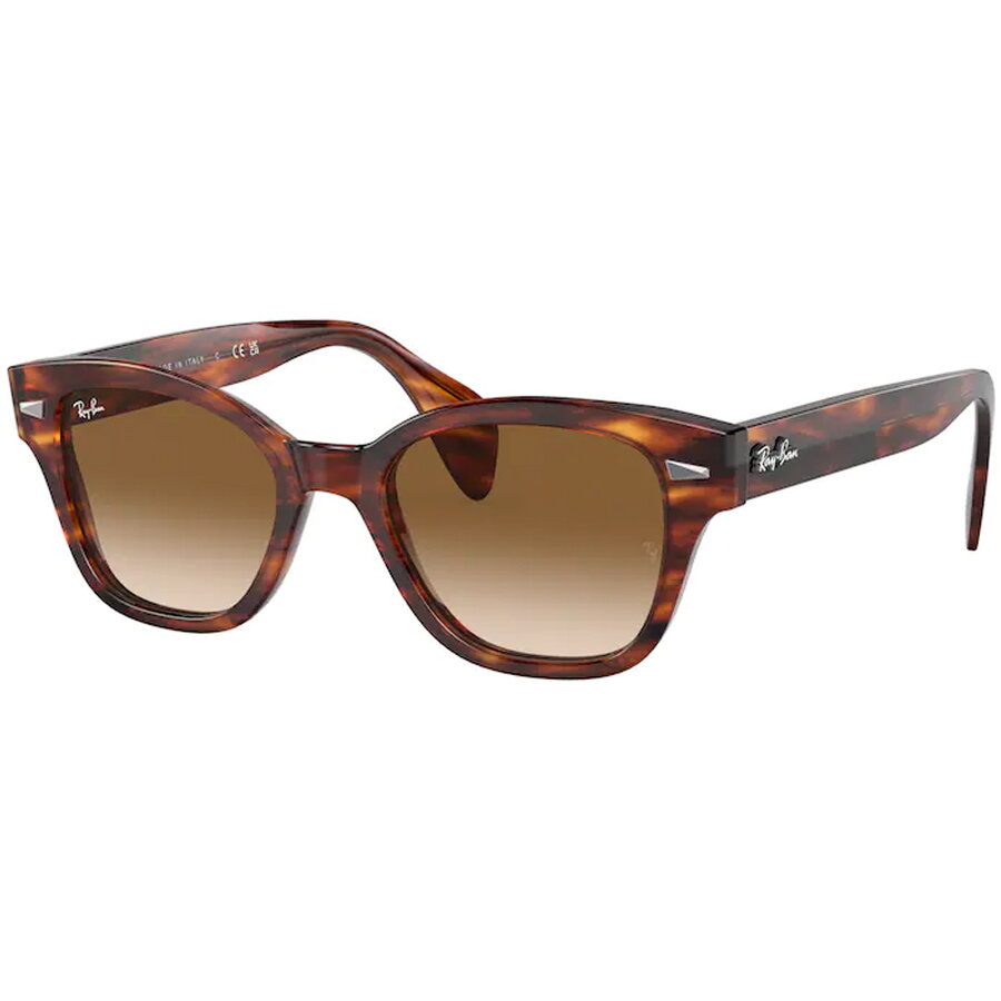 Ochelari de soare unisex Ray-Ban RB0880S 954/51