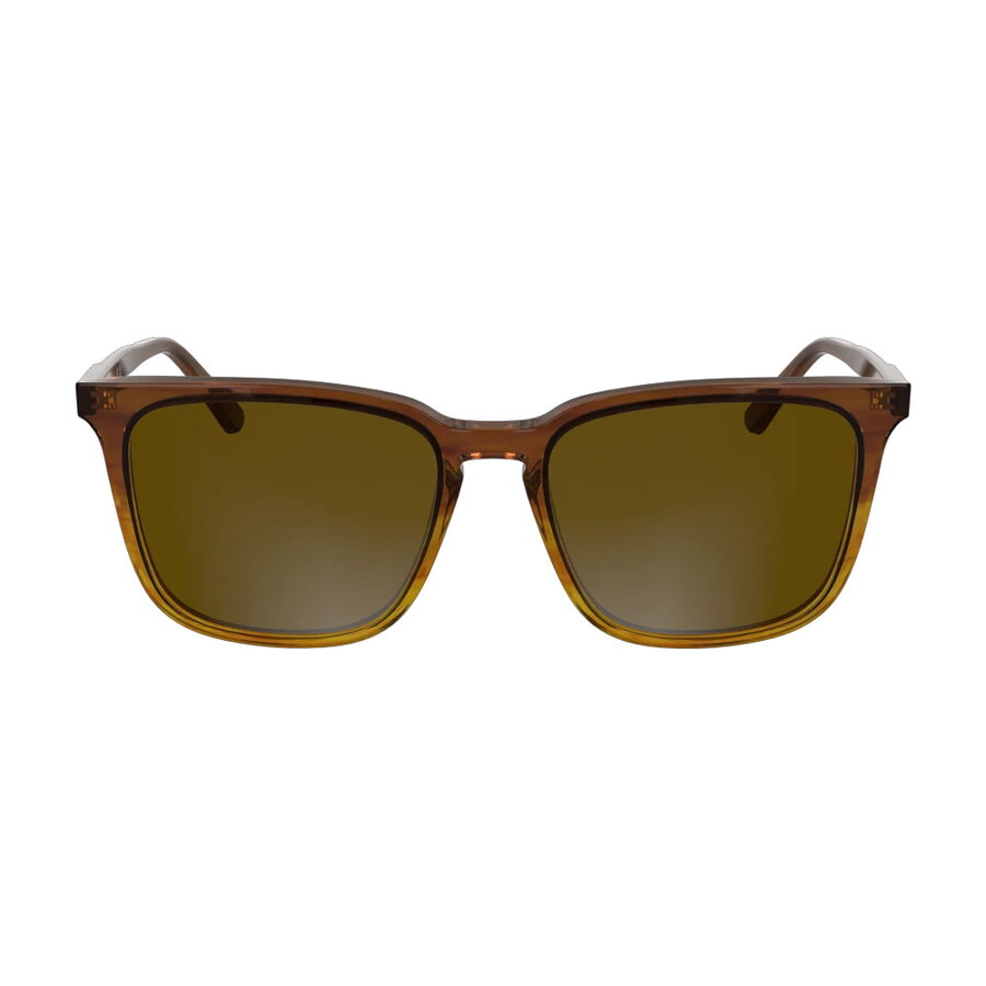 Ochelari de soare barbati Calvin Klein CK25507S 203
